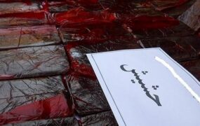 کشف حشیش از خانه زوج موادفروش
