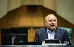 رئیس مجلس وزیر صمت نمایندگان