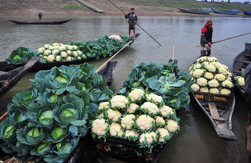 انتقال محصولات کشاورزی با قایق به بازارهای فروش