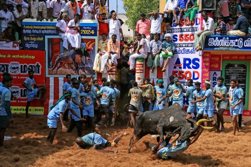 دیدنی های امروز؛ از مجمع جهانی اقتصاد تا جشنواره عبور از آتش در اسپانیا جشنواره سالانه رام کردن گاو وحشی