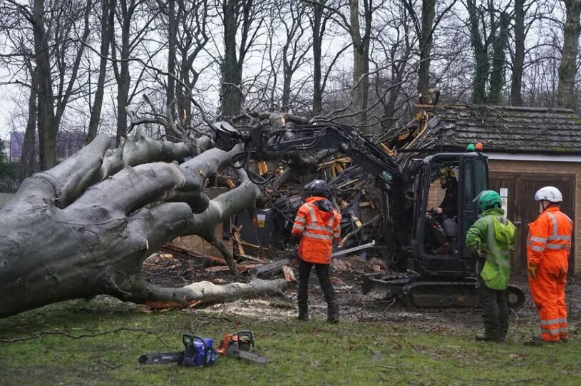 دیدنی های امروز؛ از انتخابات آمریکا تا اعتراضات کشاورزان فرانسوی از جا کنده شدن درختان در اثر توفان