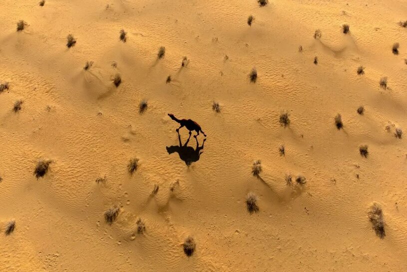 دیدنی های امروز؛ از حرکت بزرگ ترین کشتی تفریحی جهان تا کارناوال ونیز صحرای سماوه در عراق