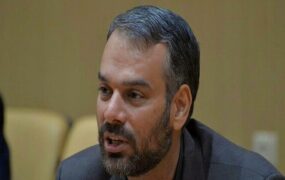 رشیدی‌کوچی پیگیری دولت واردات خودرو