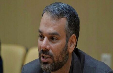 رشیدی‌کوچی پیگیری دولت واردات خودرو