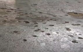 حجم تخریب شدید بمب منفجر