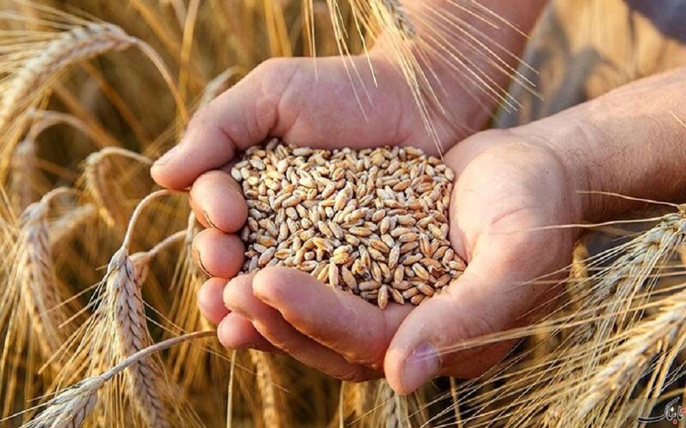 شورای قیمت‌گذاری قیمت گندم