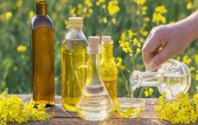 طول عمر بیشتر با این ۸ روغن