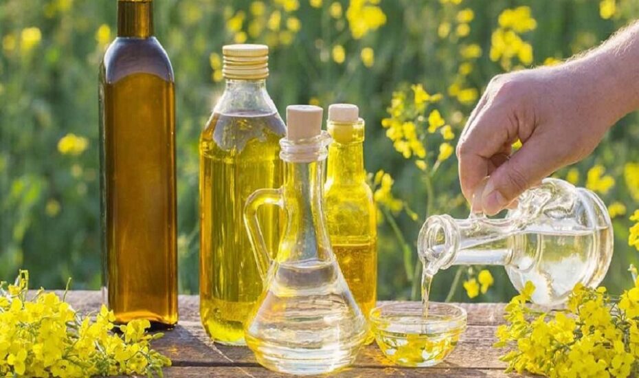 طول عمر بیشتر با این ۸ روغن