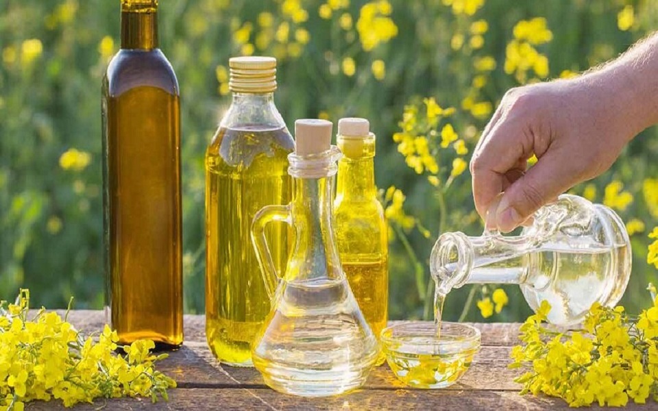 طول عمر بیشتر با این ۸ روغن