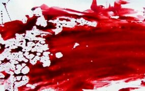قتل برادرزن در دعوای زن و شوهر