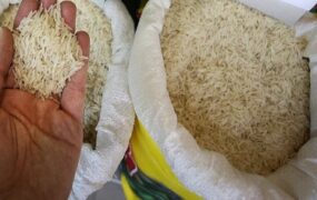 قیمت روز انواع برنج ایرانی