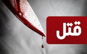 کارآگاهان قاتلان پسر 11 ساله