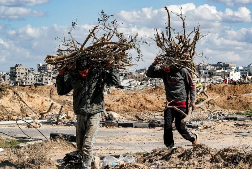 دیدنی های امروز؛ از لندنی های پایِ کار فلسطین تا سال نو چینی جمع آوری هیزم در اردوگاه آوارگان "المغازی"