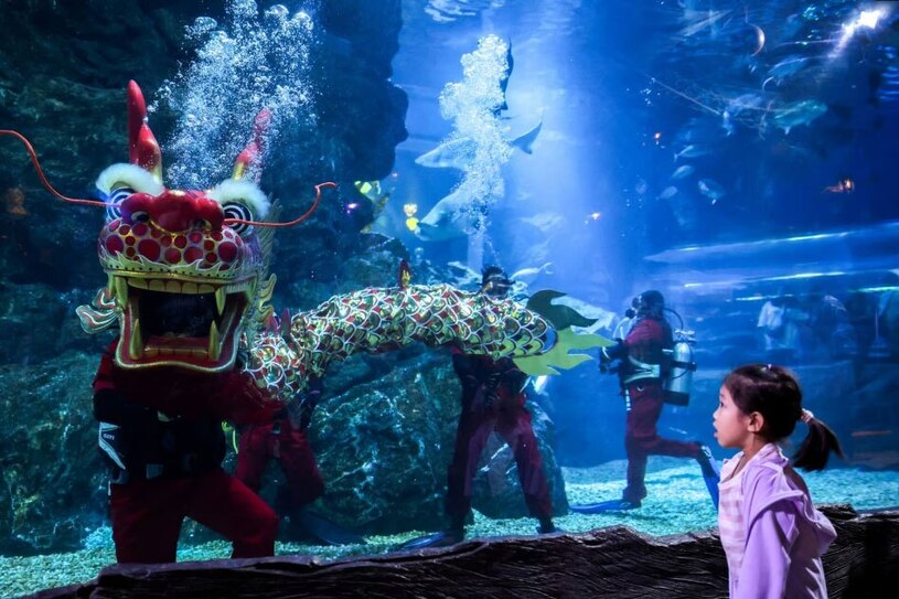 دیدنی های امروز؛ از اعتراضات کشاورزان اروپایی تا سفر رییس جمهوری جدید آرژانتین به اسراییل حال و هوای سال نو چینی در آکواریوم شهر بانکوک