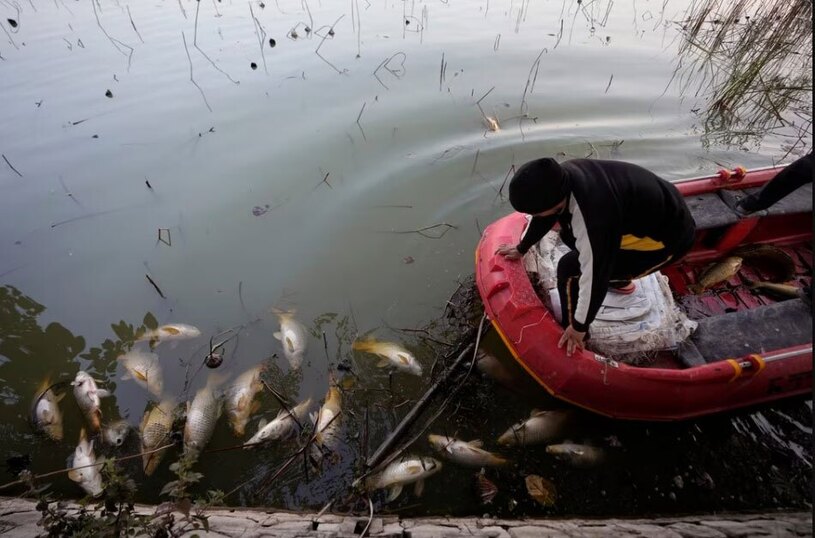 دیدنی های امروز؛ از جشن چهل و پنجمین سالگرد پیروزی انقلاب تا کارناوال درسدن آلمان جمع کردن هزاران ماهی تلف شده از دریاچه مانسار