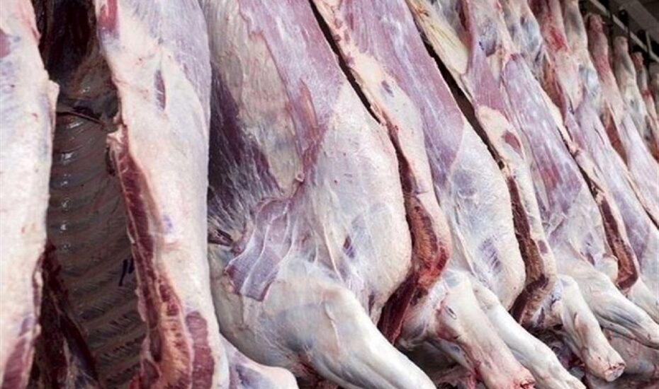 قیمت گوشت گوساله