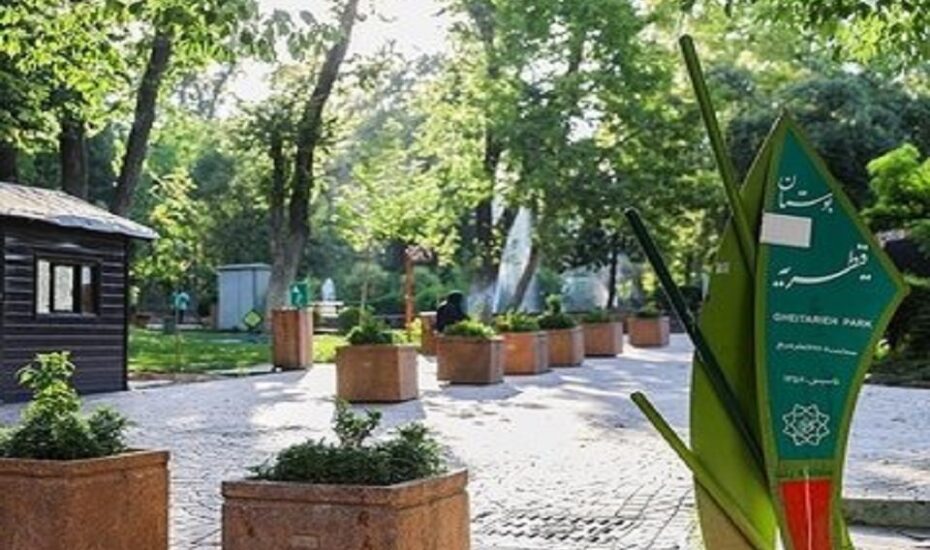 مغازه و مسجد جای درختان پارک قیطریه