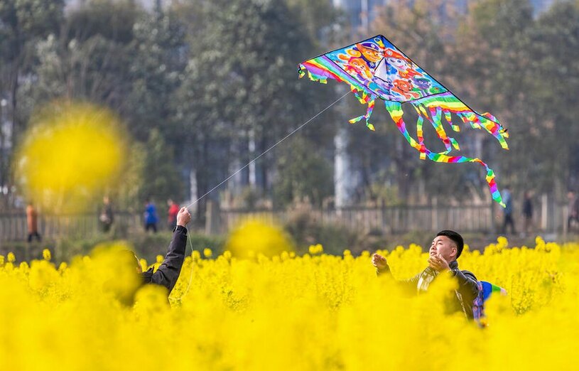 دیدنی های امروز؛ از ارسال کمک های هوایی به غزه تا "شب برات" در کشمیر گردشگران چینی در یک زمین کشت کلزا در چونگ کینگ چین