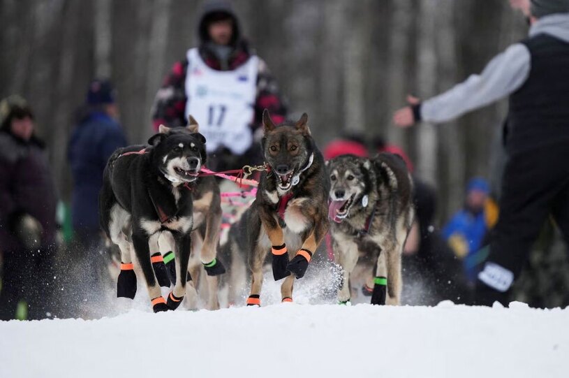 مسابقات سورتمه رانی در آلاسکا