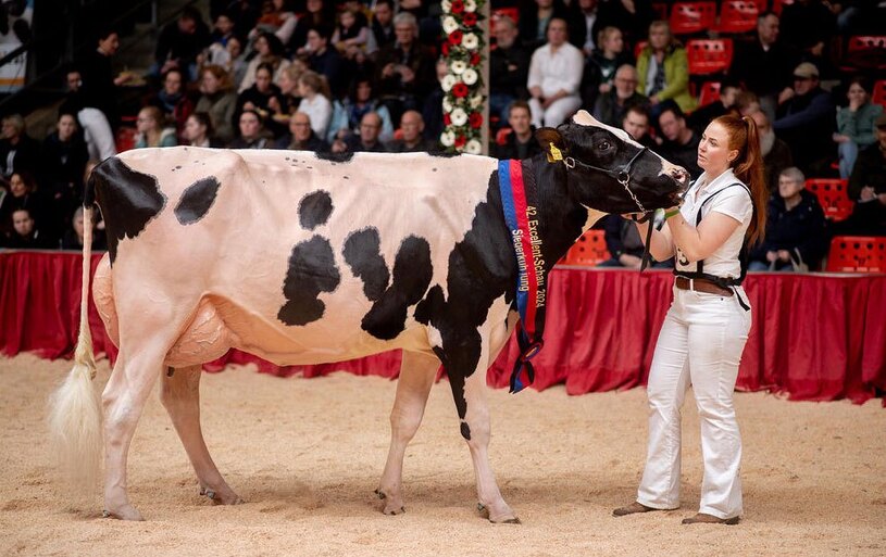 دیدنی های امروز؛ از جشنواره آیینی هندوها تا گردن آویز ترامپ نمایشگاه سنتی گاوهای شیرده