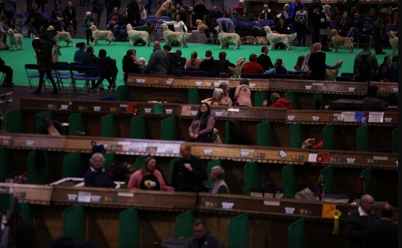 دیدنی های امروز؛ از روز جهانی زن تا نمایشگاه سگ های خانگی نمایشگاه سالانه سگ های خانگی در بیرمنگام