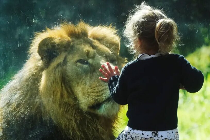 دیدنی های امروز؛ از روز جهانی زن تا نمایشگاه سگ های خانگی باغ وحش شهر رم ایتالیا