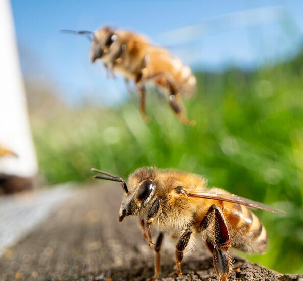 دیدنی های امروز؛ از رمضان در کشورهای مختلف تا جمعیت عظیم تماشاگران مسابقات اسب دوانی بدون شرح