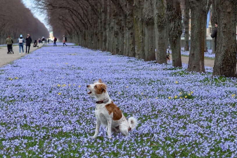 دیدنی های امروز؛ از رمضان در کشورهای مختلف تا جمعیت عظیم تماشاگران مسابقات اسب دوانی بدون شرح