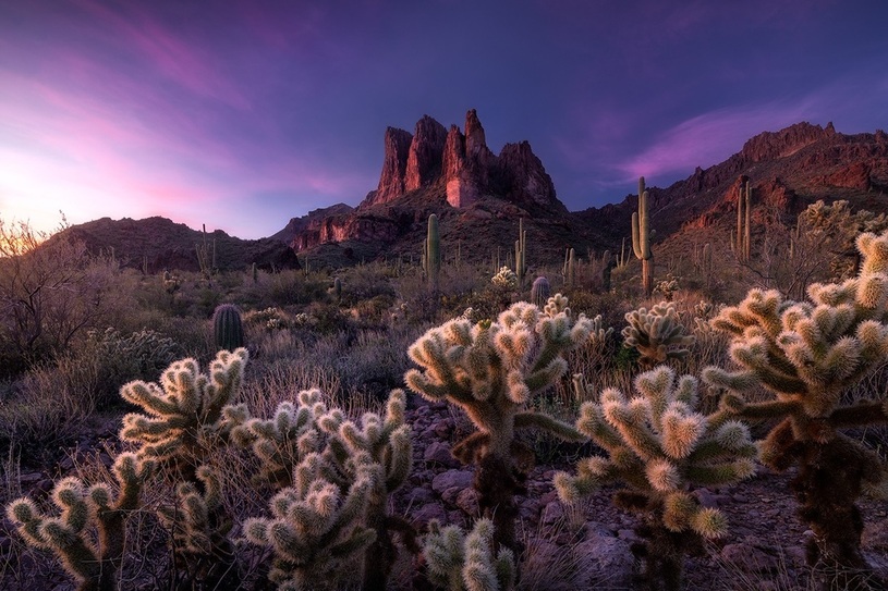 دیدنی های امروز؛ از رمضان در کشورهای مختلف تا جمعیت عظیم تماشاگران مسابقات اسب دوانی بدون شرح