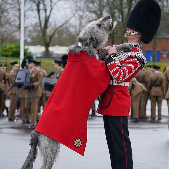 دیدنی های امروز؛ از رژه روز سن پاتریک تا افطاری های رمضانی رژه روز سن پاتریک در انگلیس