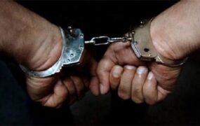 دستگیری اراذل و اوباش پلنگ آذربایجان