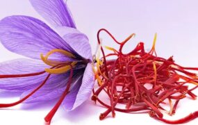 زعفران اصل تقلبی