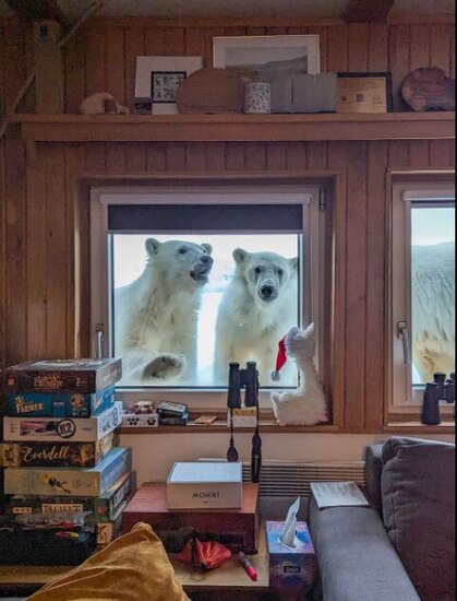 دیدنی های امروز؛ مراسم روز جهانی قدس از کشمیر تا لندن سرک کشیدن خرس های قطبی از پنجره یک ایستگاه هواشناسی