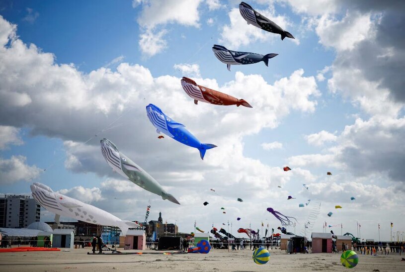 فستیوال کایت در سواحل شمالی فرانسه