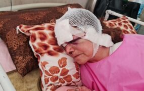 حمله ی خرس زن ارتفاعات پیرانشهر