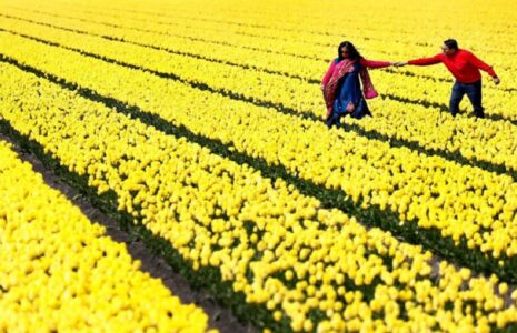 دیدنی های امروز؛ از سالگرد نسل کشی ارامنه تا اعتراضات دانشجویی در آمریکا