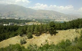 هتل بوستان جنگلی لویزان
