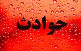 عامل شهادت یک بسیجی