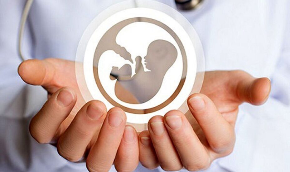 قیمت رحم اجاره‌ای