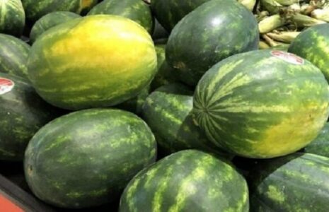 مسمومیت هندوانه‌