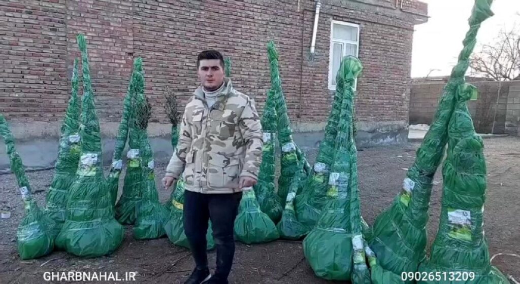 نهال لیبل دار