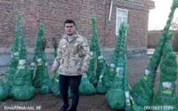 نهال لیبل دار
