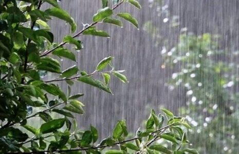 هشدار فعالیت سامانه بارشی تا دوشنبه فعالیت سامانه بارشی