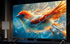 تلویزیون کوچک و خوش قیمت TCL از راه رسید