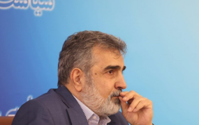 کمالوندی: دنبال ساخت سلاح هسته‌ای نیستیم