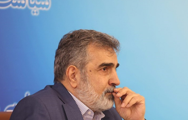 کمالوندی: دنبال ساخت سلاح هسته‌ای نیستیم