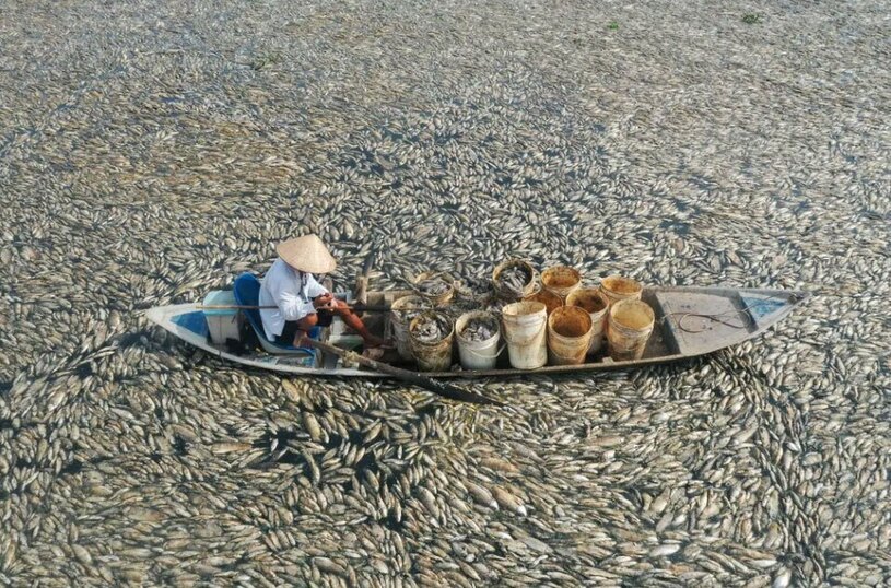 دیدنی های امروز؛ اعتراضات روز جهانی کارگر جمع آوری ماهی های تلف شده از دریاچه ای در ویتنام