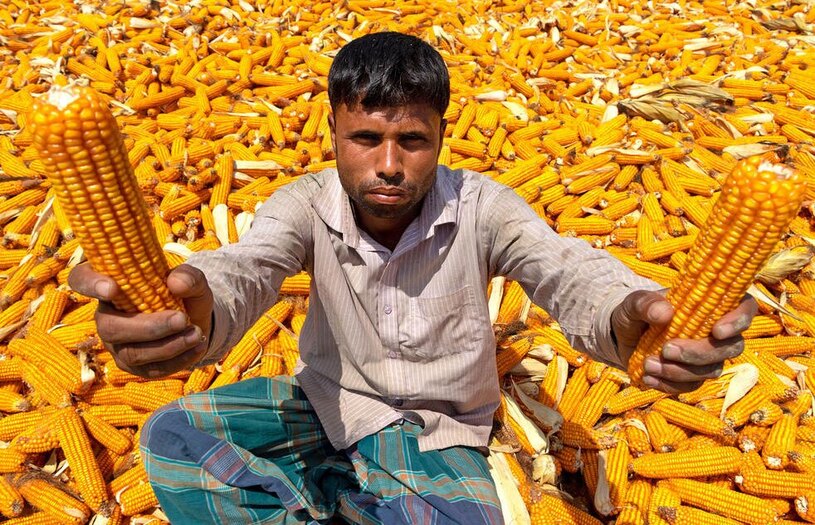 دیدنی های امروز؛ از روز جهانی آزادی مطبوعات تا سفرهای تبلیغاتی ترامپ خشک کردن محصول ذرت