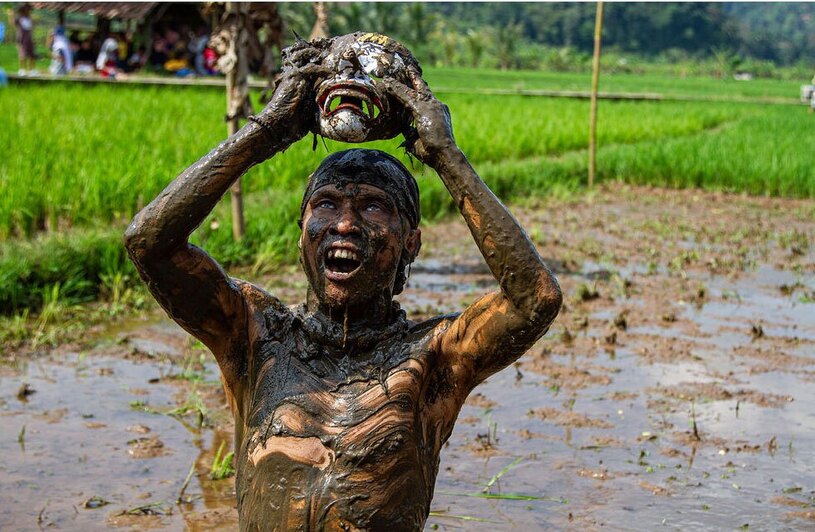 اجرای نمایش های مختلف در مزارع برنج