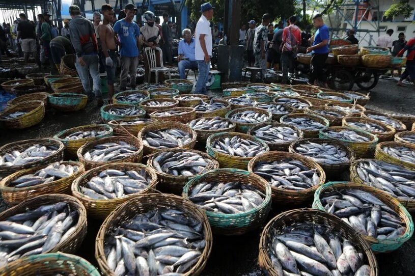 بازار ماهی در آچه اندونزی